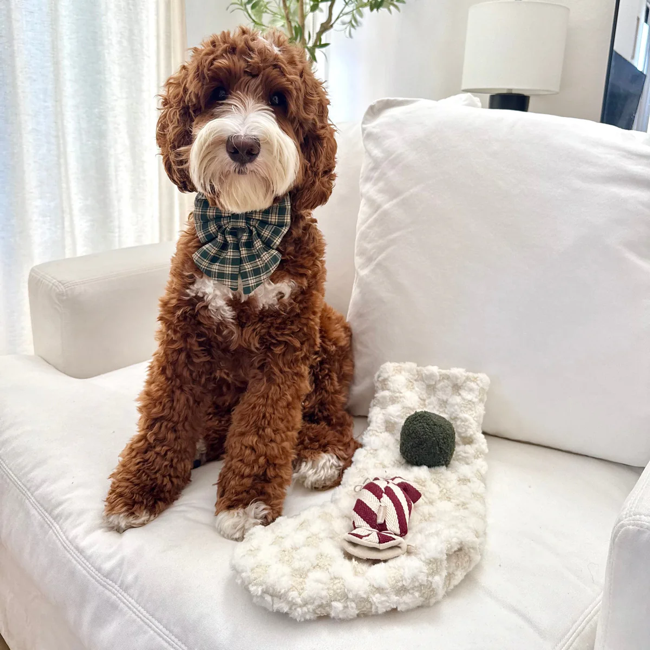 Lambwolf Collective - Xmas Stocking