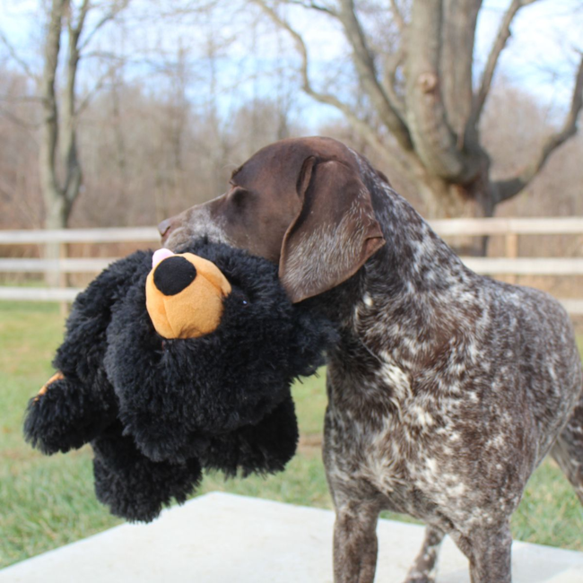Tall Tails - Stuffless Black Bear Squeaker Dog Toy