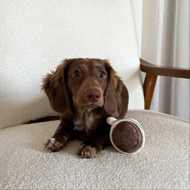 Lambwolf Collective - Expresso Pop Dog Toy