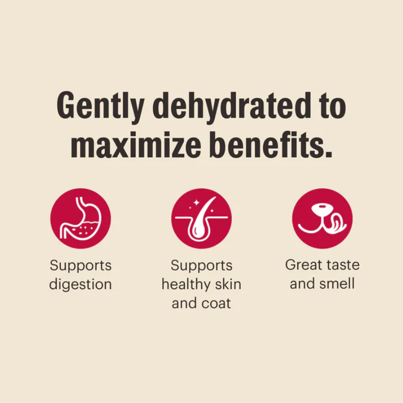 The Honest Kitchen - Wholemade Grain Free Veggie Nut & Seed Base Mix - Dehydrated Dog Food