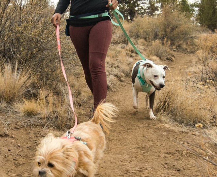 Ruffwear - Flagline Leash