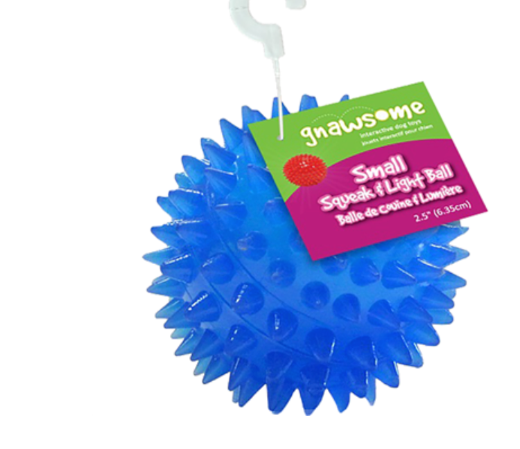 Royal Pet - Gnawsome Ball - Squeak & Light