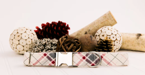 Walk in the Bark - Cozy Cream Collar (2021)