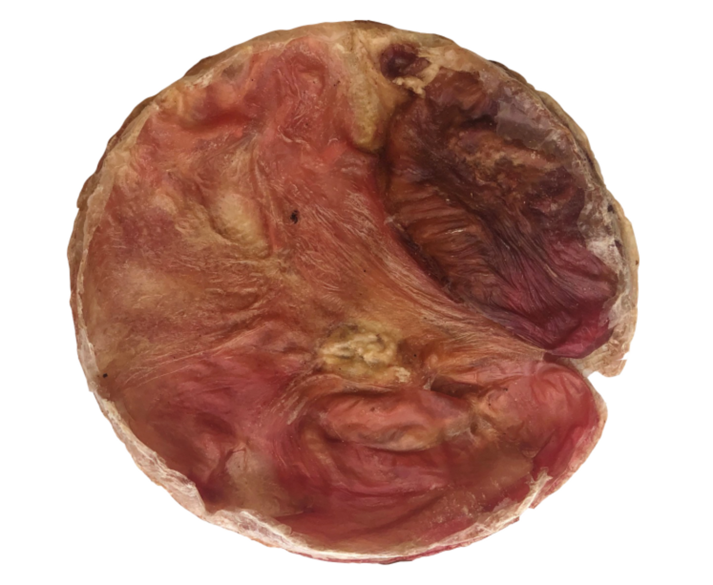 Open Range - Beef Furs-Bee