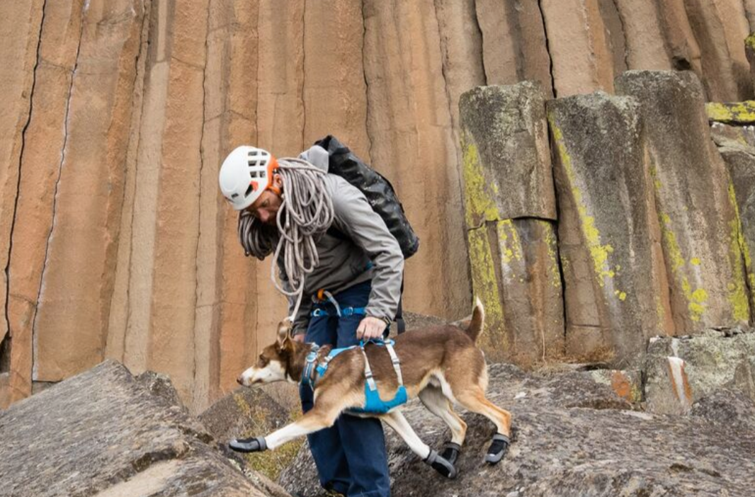 Ruffwear- Flagline Harness