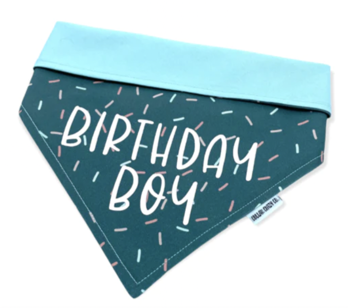 Collar Crazy Co - Birthday Boy