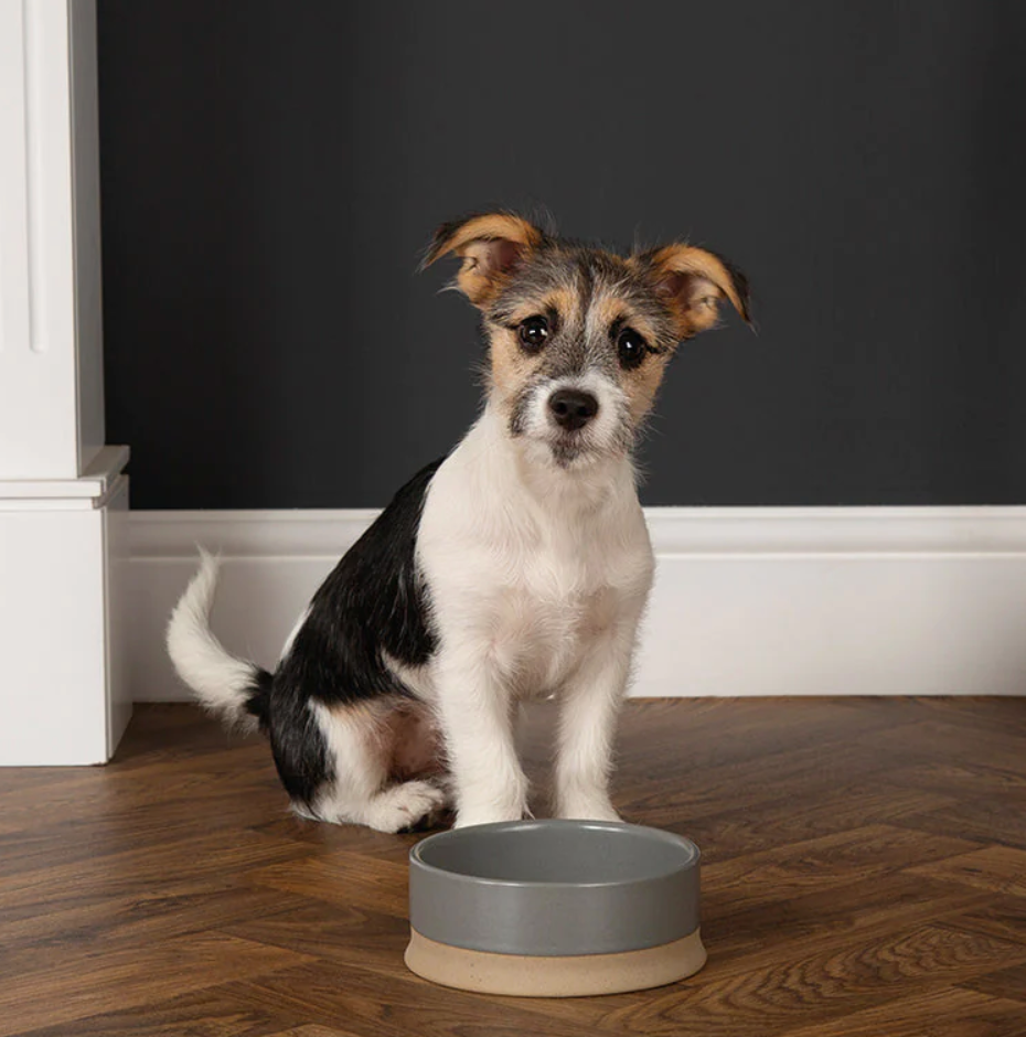 Scruffs - Scandi Non Tip Pet Food & Water Bowl