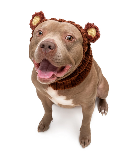 Zoo Snoods - Fuzzy Bear