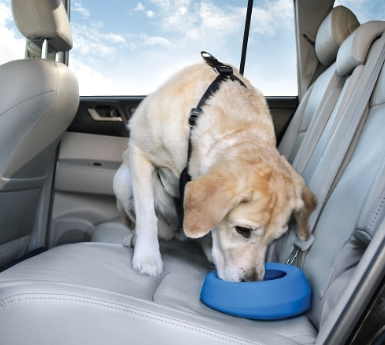 Kurgo - Splash-Free Water Bowl