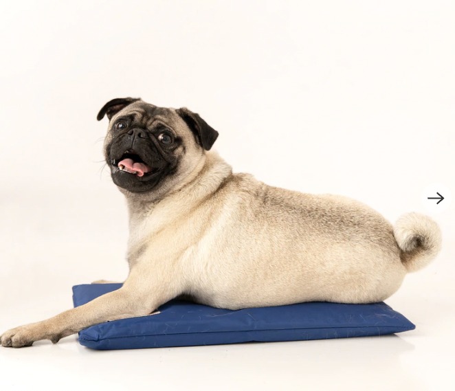 CoolerDog - Hydro Cooling Mats