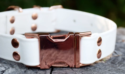 DogDog Goose Biothane Collar - White with Rose Gold Buckle