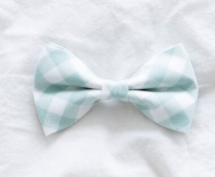 Darling Dear - Seafoam Picnic Check
