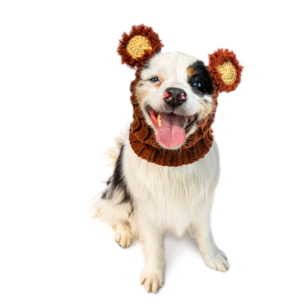 Zoo Snoods - Fuzzy Bear