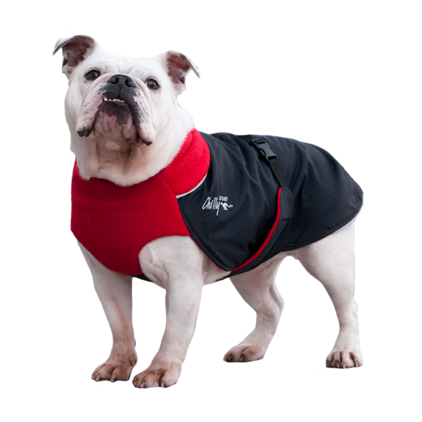 Great white north dog coats hot sale