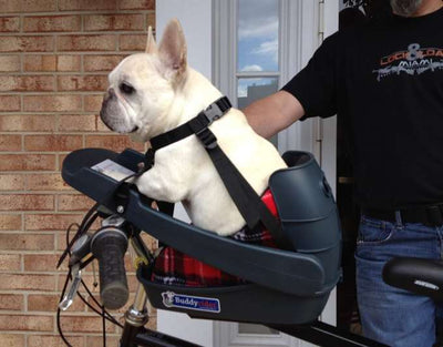 Buddy Rider - Main Seat Kit