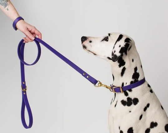 DogDog Goose - Biothane Leashes