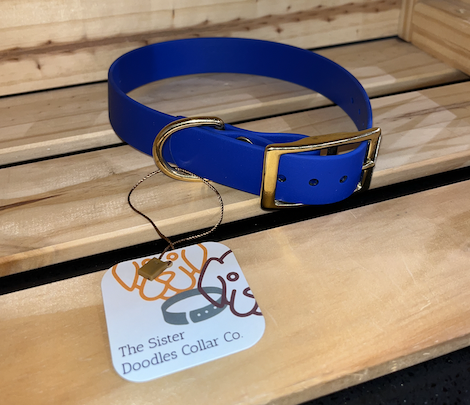 The Sister Doodles Collar Co - Biothane Buckle Collar - Electric Blue with Brass