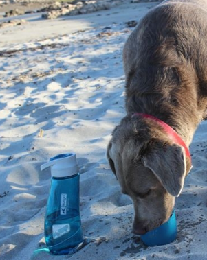 Kurgo - Gourd H2O Bottle and Bowl