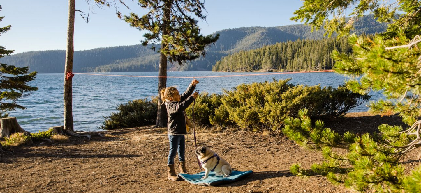Ruffwear - Knot-A-Hitch