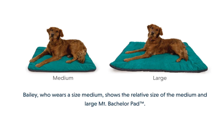 Ruffwear - Mt. Bachelor Pad