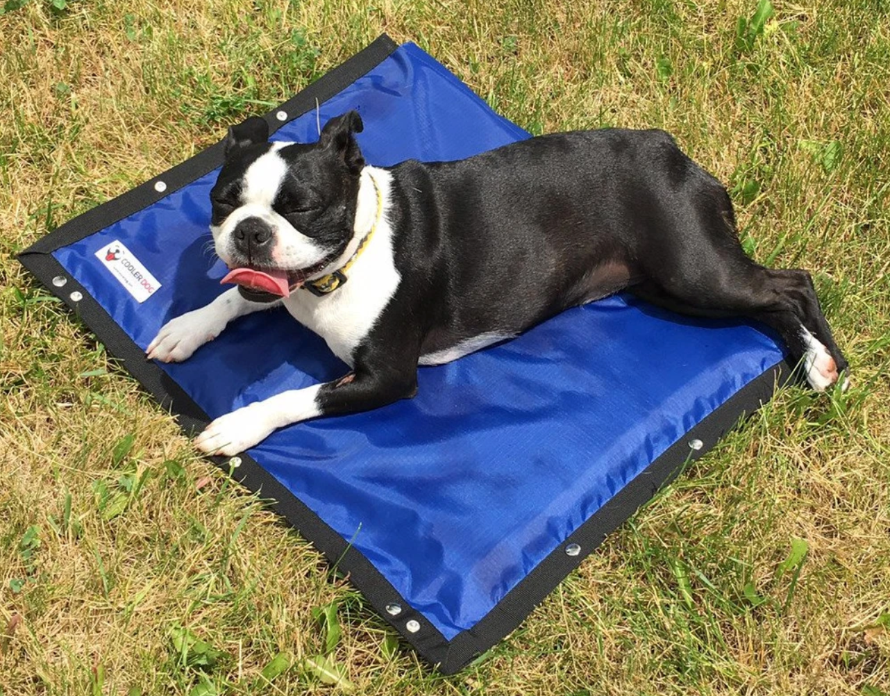 CoolerDog - Hydro Cooling Mats