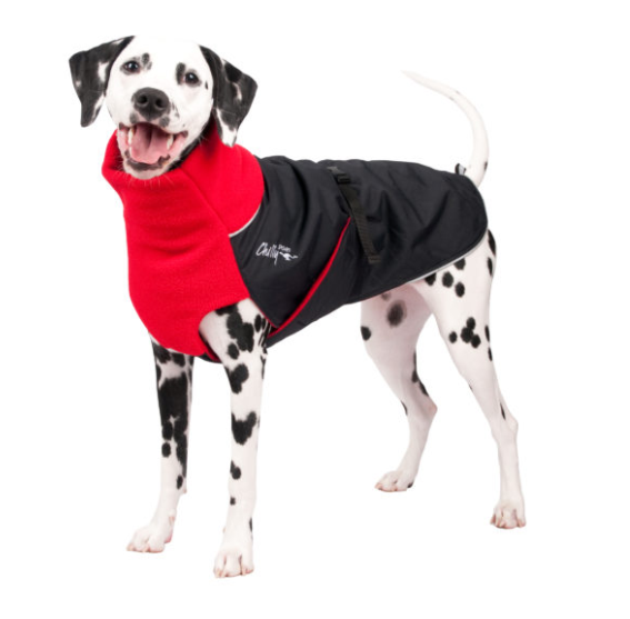 Dog coats and sales jackets
