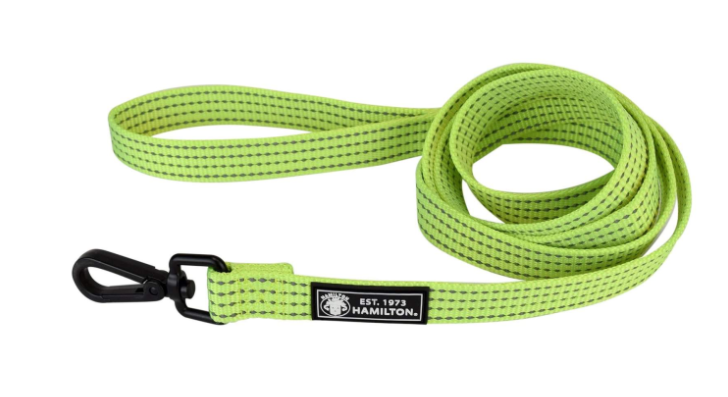 Hamilton- Reflective Leash