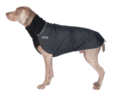 Chilly Dogs - Great White North - Long & Lean