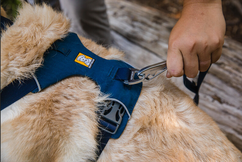 Ruffwear - Front Range Leash