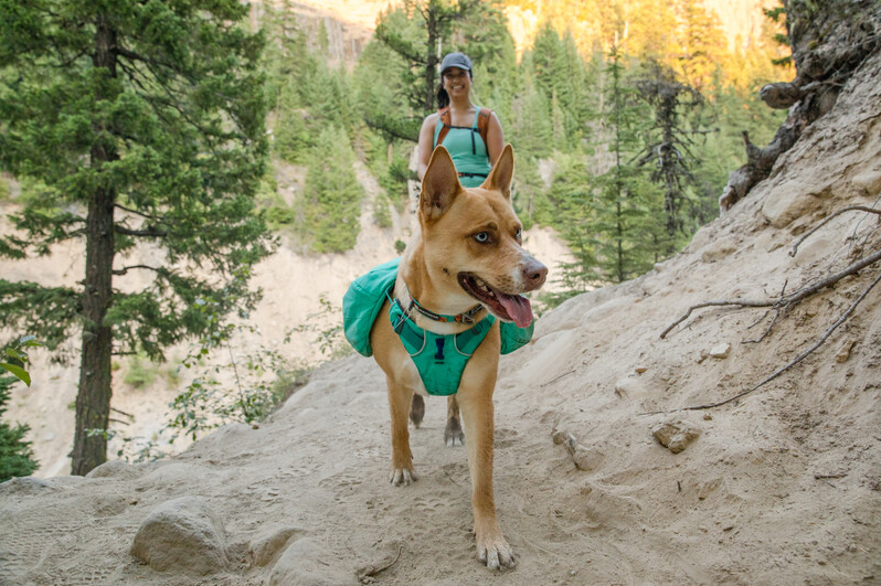 Ruffwear - Front Range Day Pack