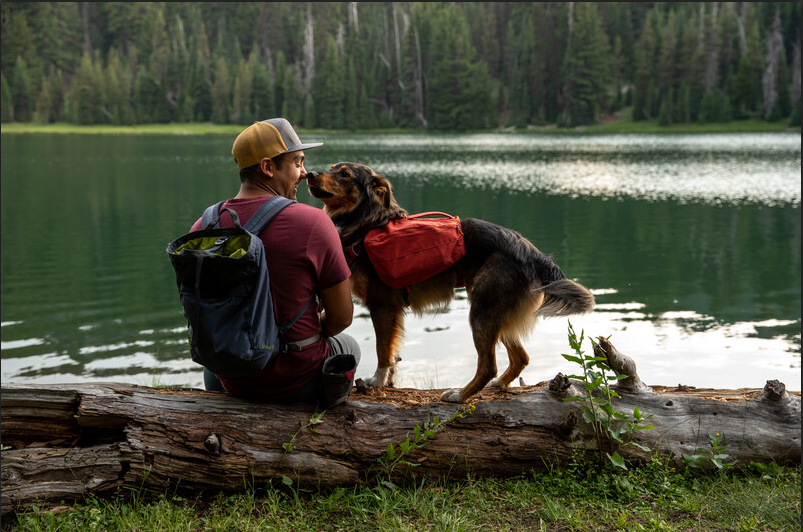 Ruffwear - Front Range Day Pack