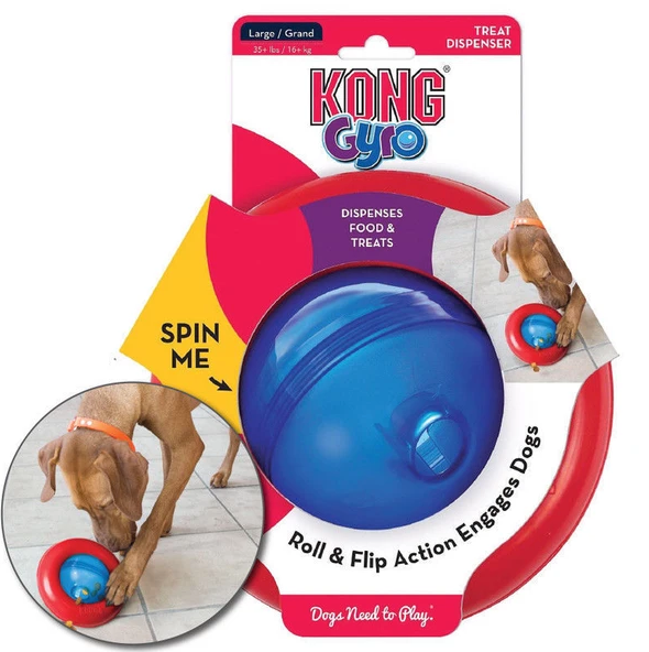 Kong - Gyro
