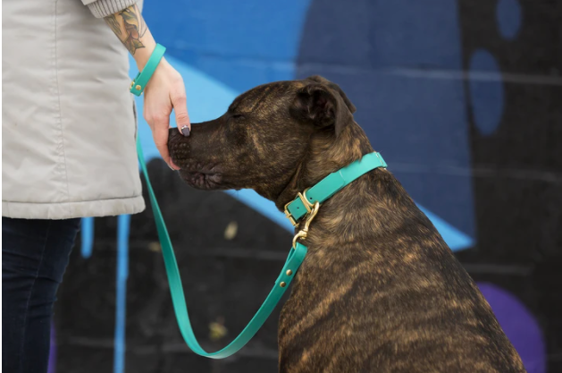 DogDog Goose - Biothane Leashes