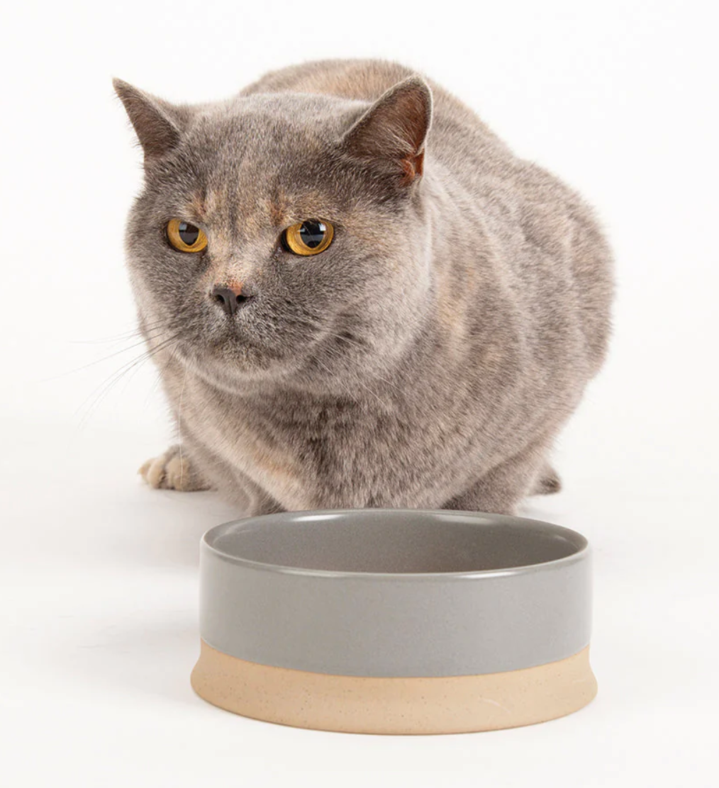 Scruffs - Scandi Non Tip Pet Food & Water Bowl