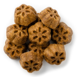 Fruitables - Pumpkin & Mango - Skinny Minis Treats