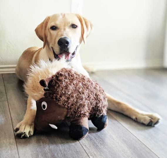 Patchwork Pet - Swirl Warthog Plush Toy