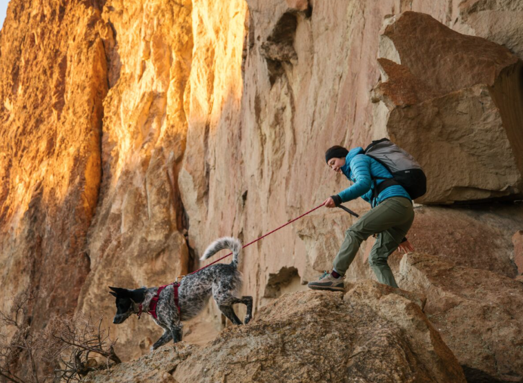 Ruffwear - Knot-a-Leash