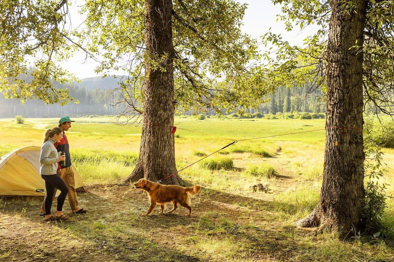 Ruffwear - Knot-A-Hitch