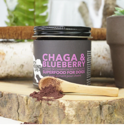 North Hound Life - Chaga Mushroom & Blueberry - 30g