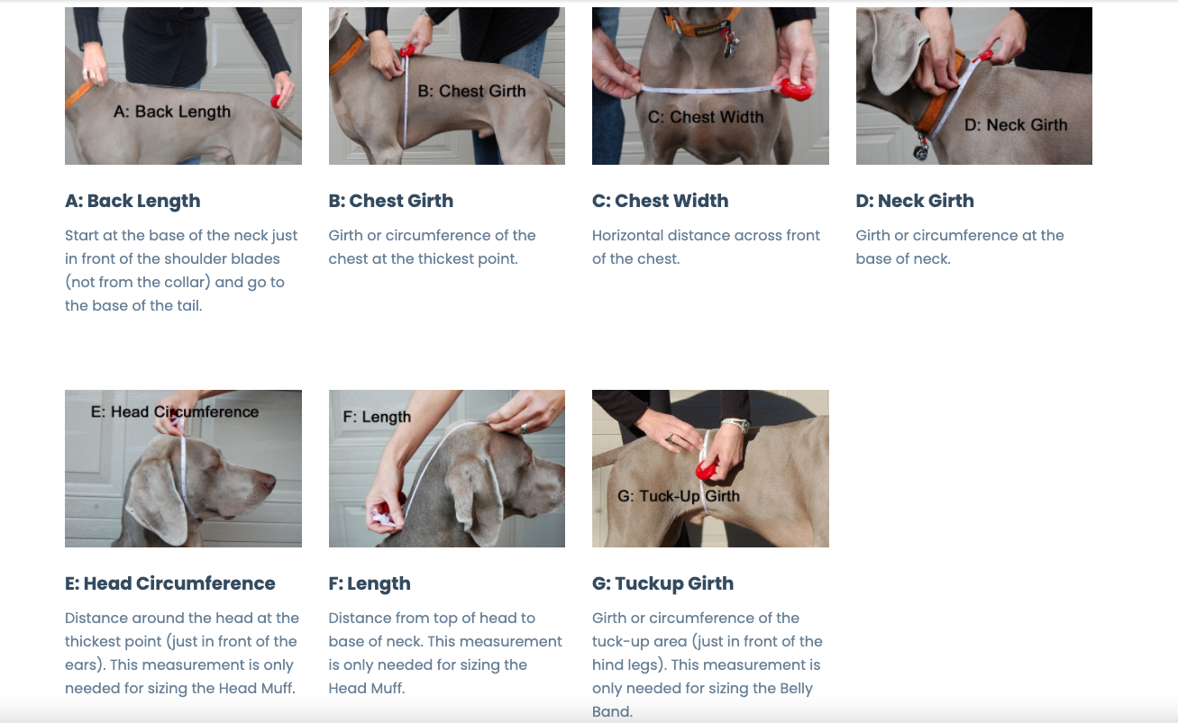 Chilly Dogs Great White North Coat - Broad & Burly