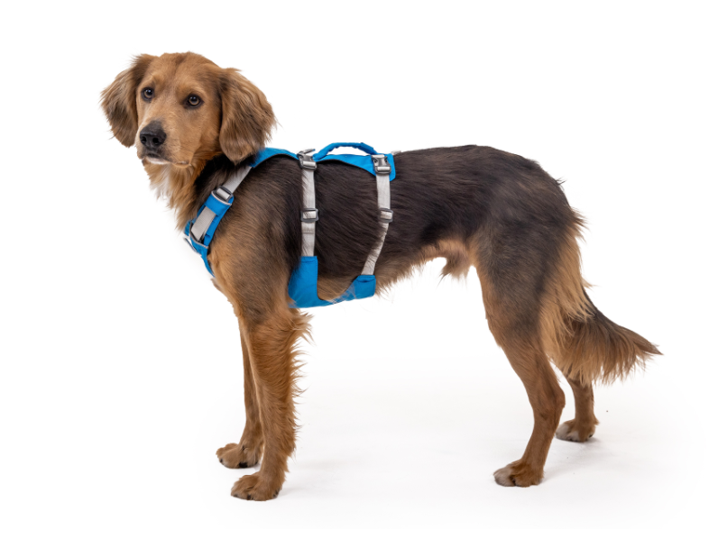 Ruffwear- Flagline Harness