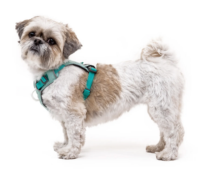 Ruffwear - Hi & Light Harness