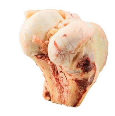 K9 Choice - Frozen Buffalo Knuckle Bone