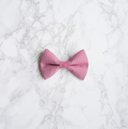 Darling Dear - Cherry Gingham