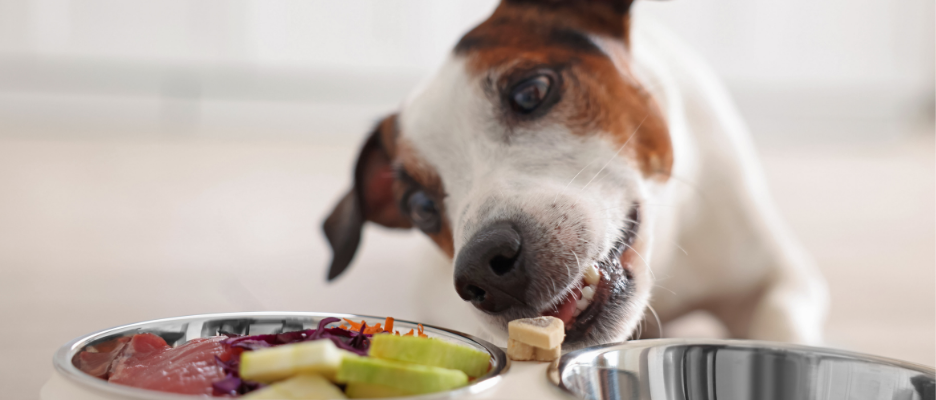 Digestive Health