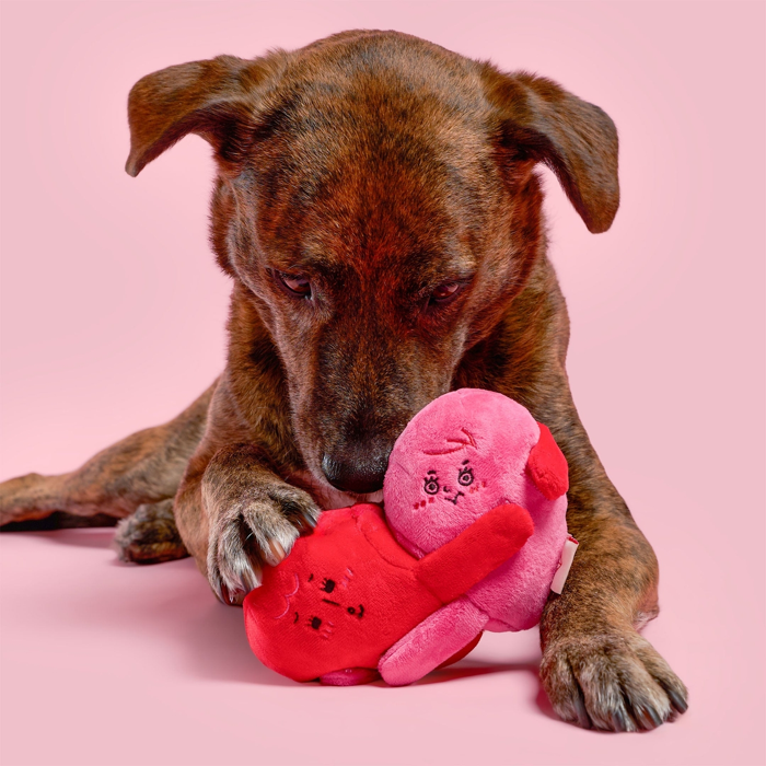 The Furryfolks - Love Locked Nosework Toy