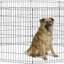 New World PetProducts - Foldable Exercise Pet Playpen
