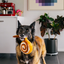 P.L.A.Y. - Pup Cup Café, Cinna-bone