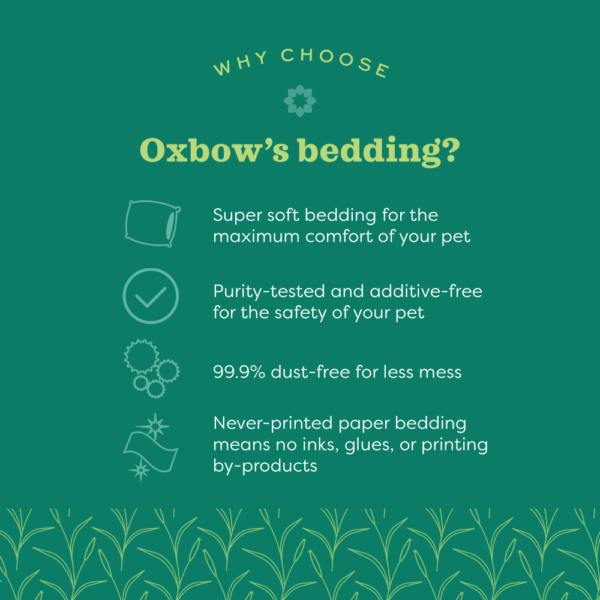 Oxbow - Pure Comfort White Bedding