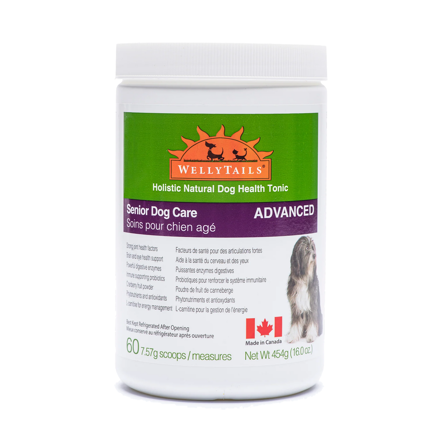 WellyTails - Senior Dog Care Advanced